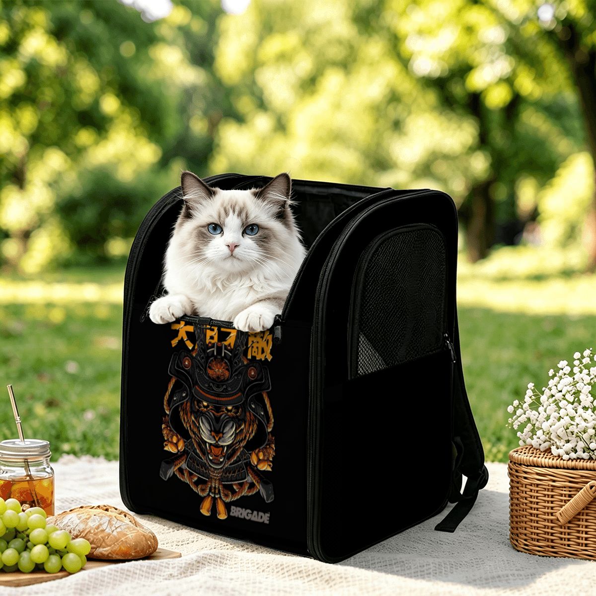 Pet Carrier Backpack 1 - Standout
